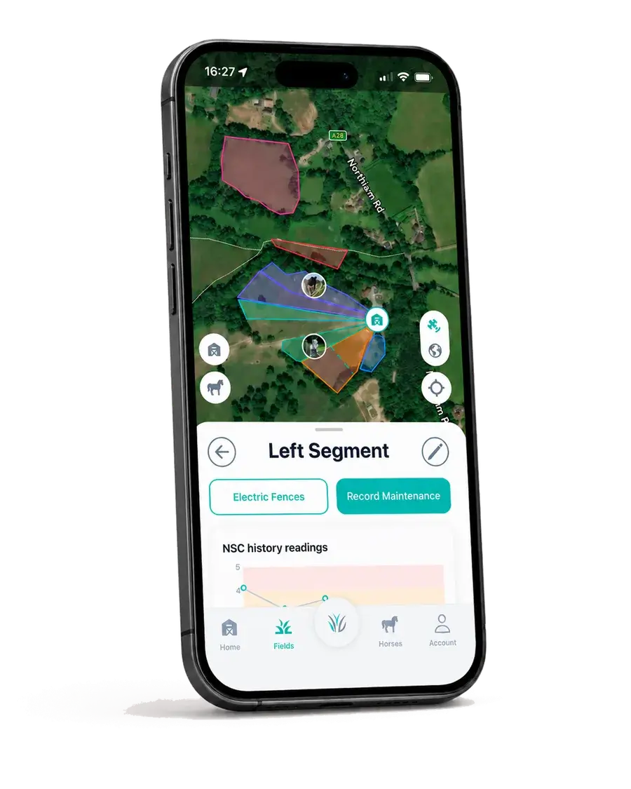 AnFiTest mobile app mockup